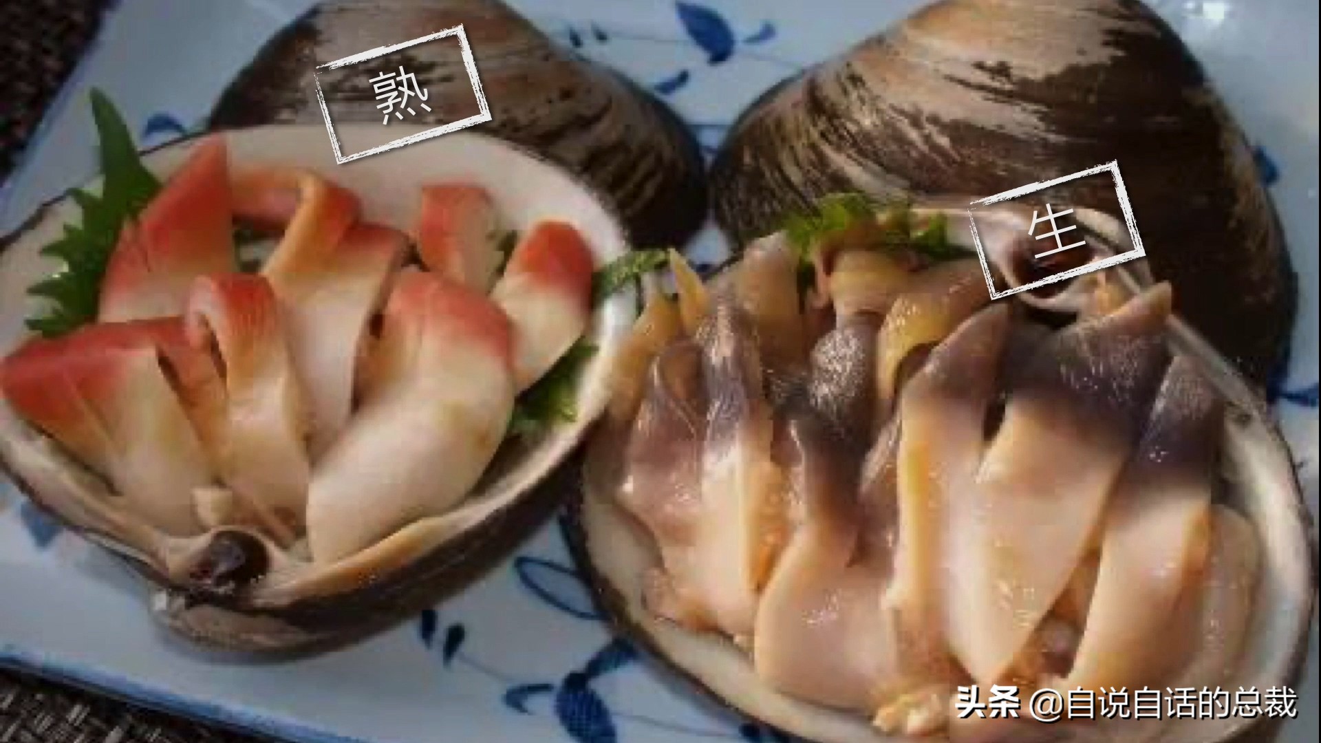 蚬蚌蛏的区别是什么,蚶子蛤蜊蚬子区别