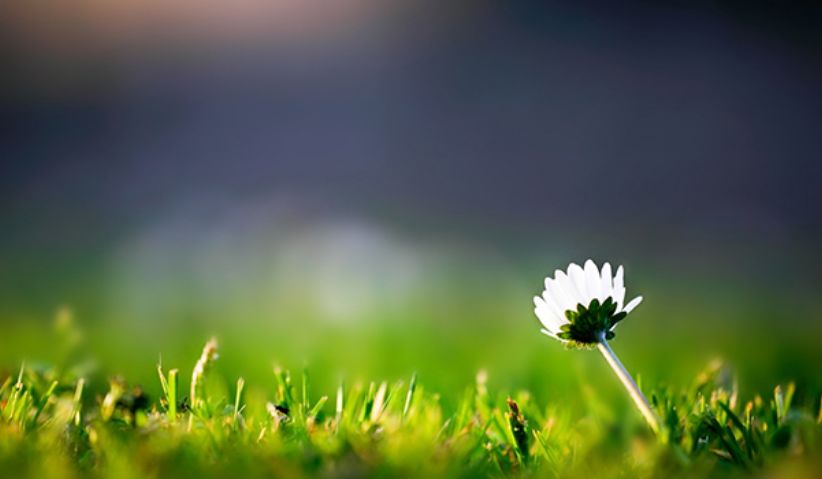 「原创诗词」管恩锋|一缕凉风送佳讯春芽初孕又阳天