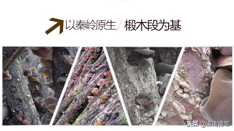 麻辣烫新鲜黑木耳怎么保存,火锅里面有黑木耳过夜还能吃吗