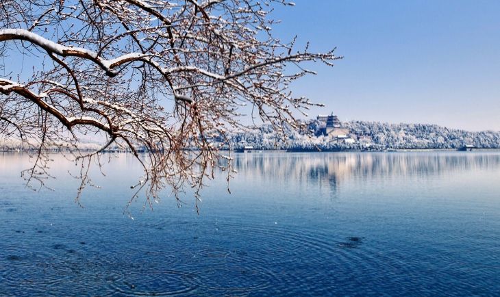 「诗词鉴赏」春雪正纷纷,古诗词里的春雪,纷纷扬扬