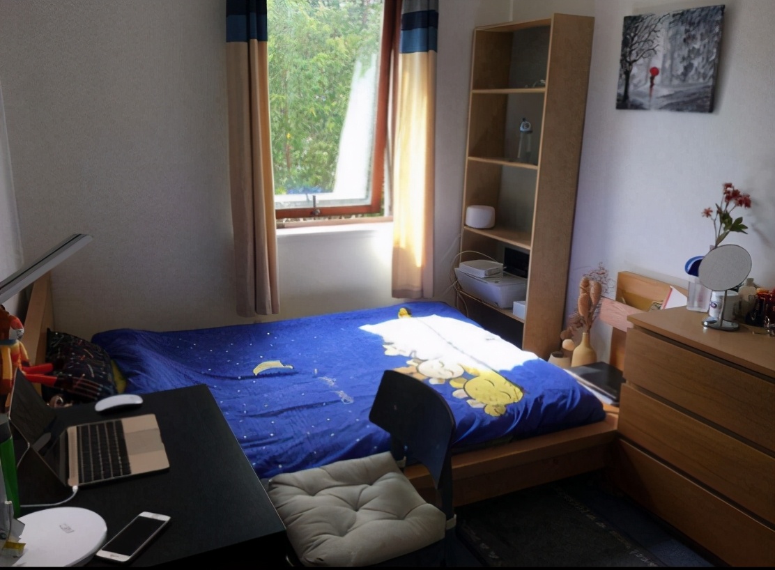 大学生租房住的利弊及自己的看法,为什么现在大学生校外租房很常见