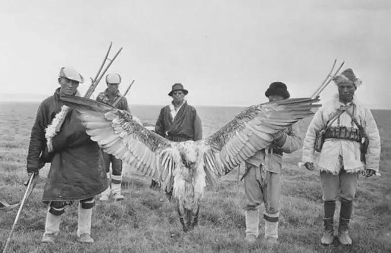 寻找失踪的学者为什么找不到,寻找消失的学者在哪