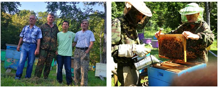 邓紫棋用的什么洗面奶,邓紫棋用蜂蜜水洗脸