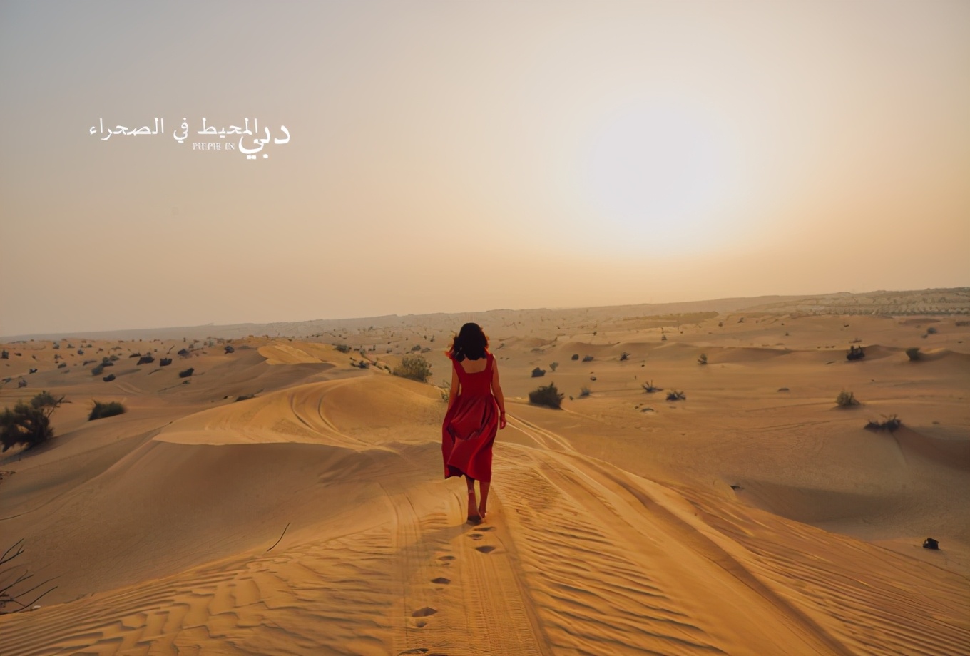 土豪之旅迪拜,迪拜土豪之旅