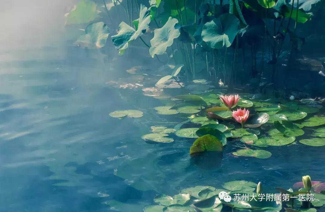 宝宝防“痱”三大妙招，省心、省事，让宝宝过个清爽的夏天