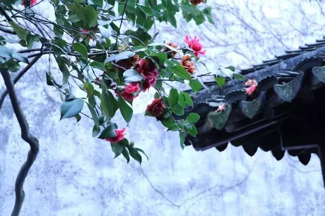 中国园林的诗情画意之美,虽由人作宛自天开的造园理念