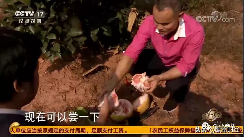 无本钱大学生创业,无本生意大学生