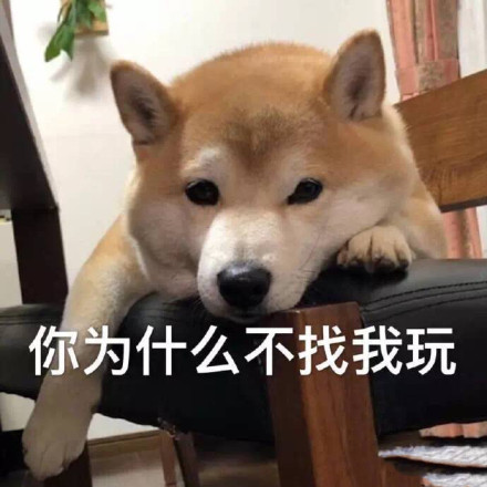 皮一下发朋友圈的句子周末,高情商发朋友圈很皮的句子