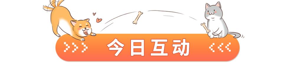 趾间炎狗狗怎么预防,下雨天怎么预防狗狗趾间炎