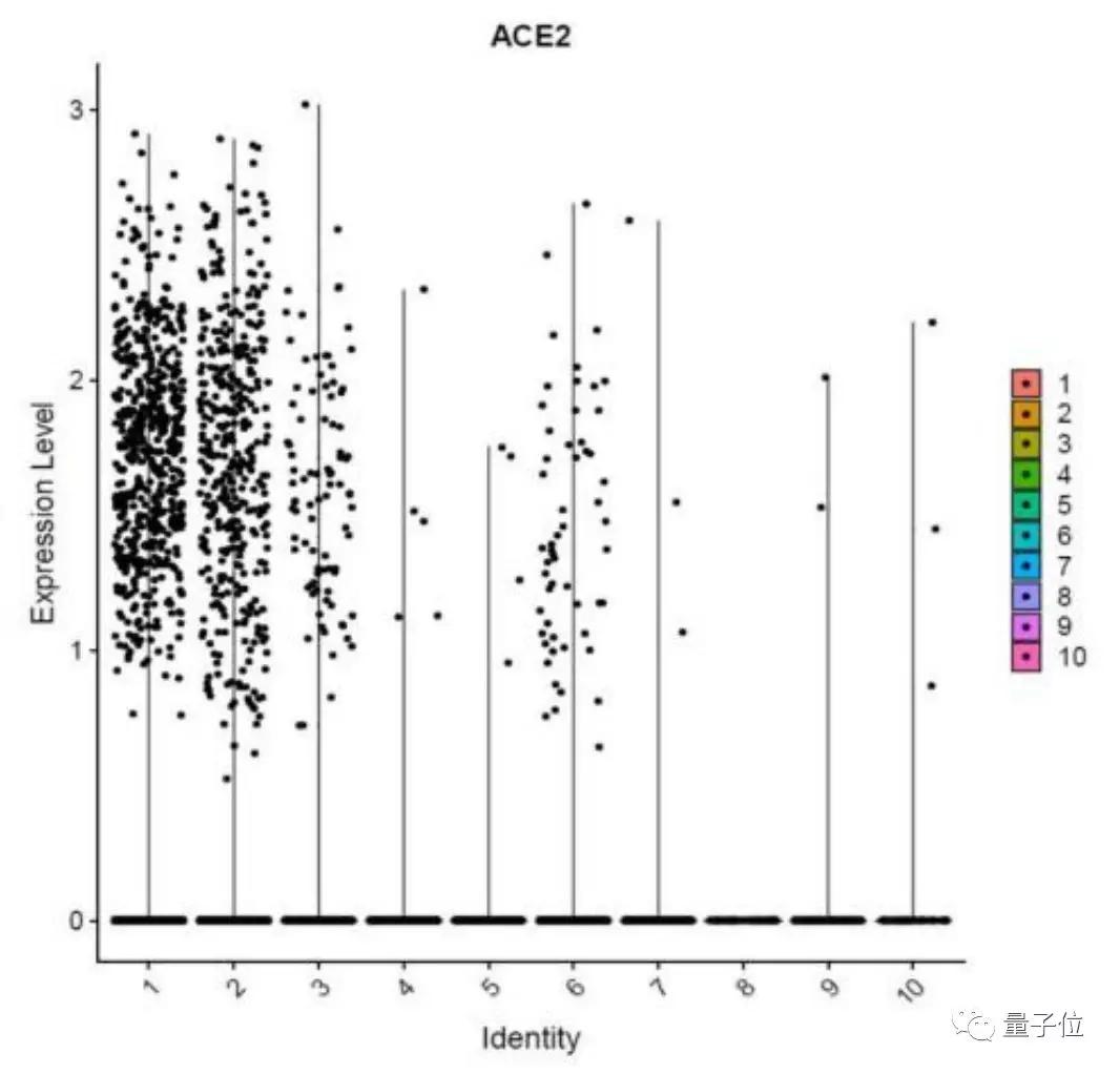 新冠睾丸损伤,新冠损伤睾丸