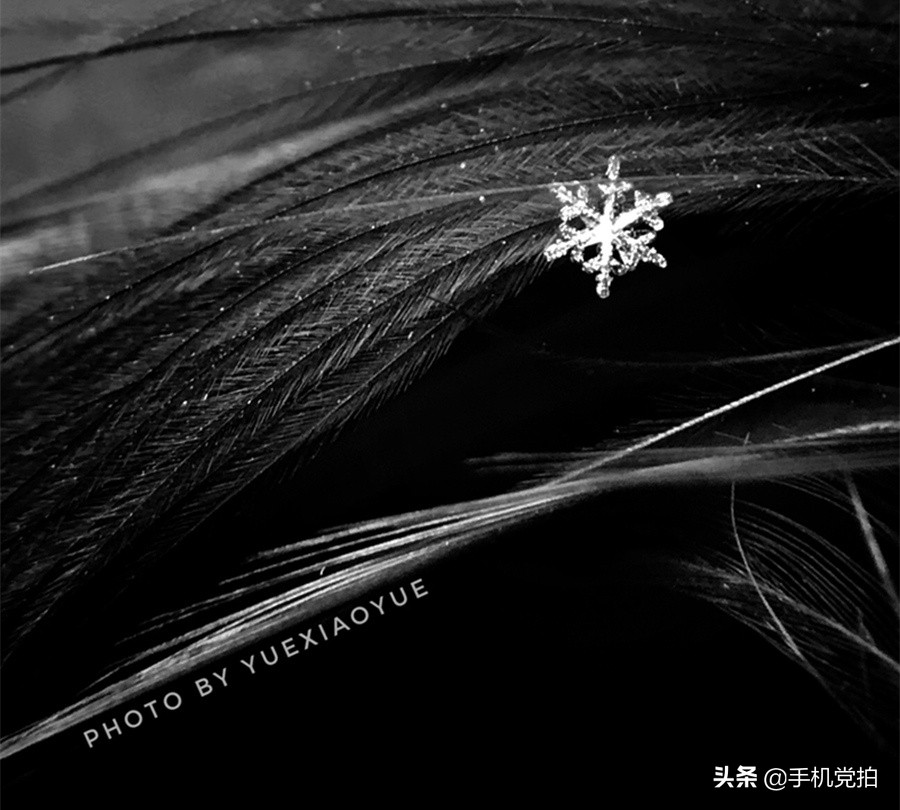 手机拍摄雪花的正确方法,手机拍雪花微距