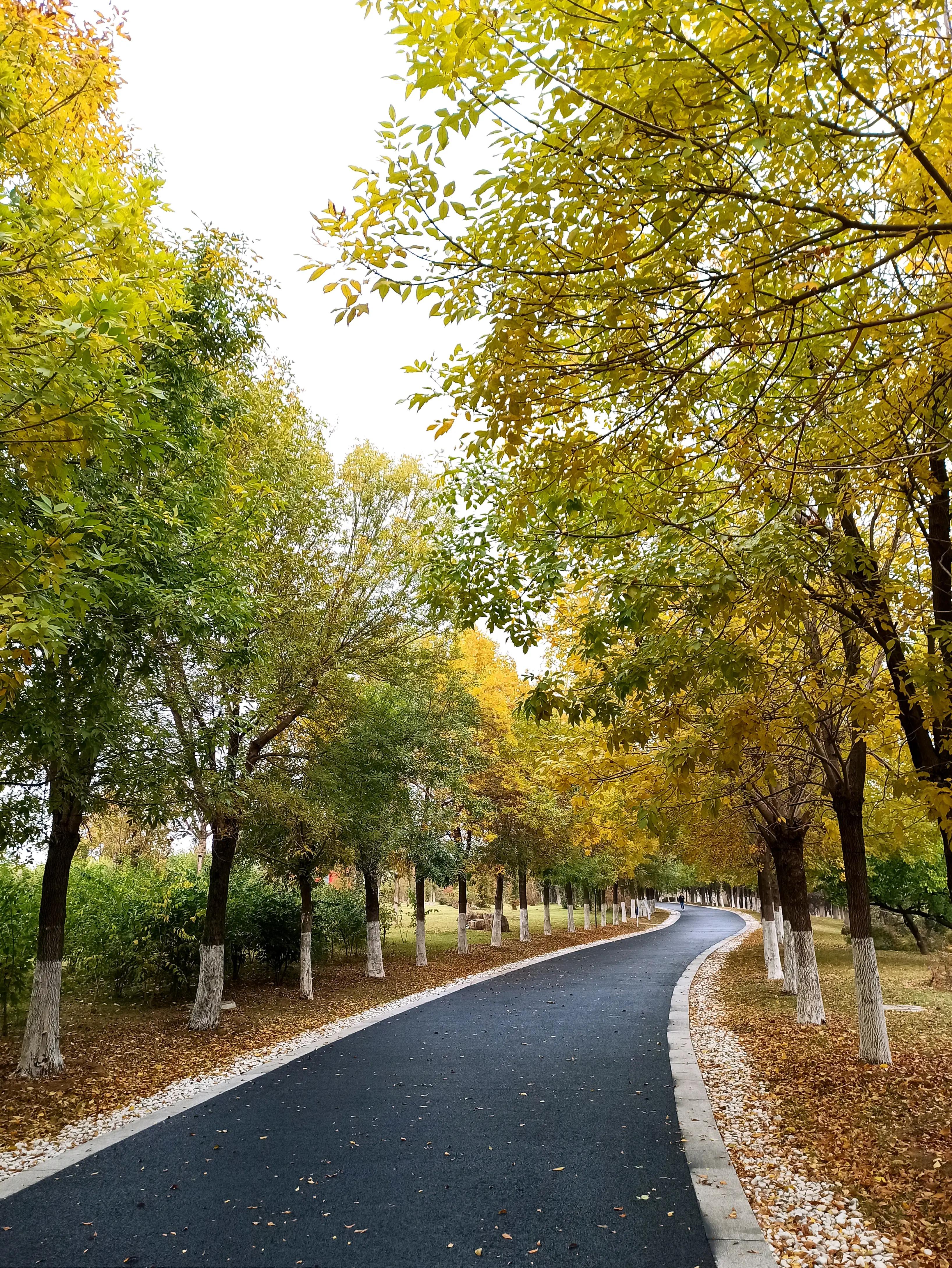 秋天的颜色是五光十色的,秋天的色彩是那样的斑斓