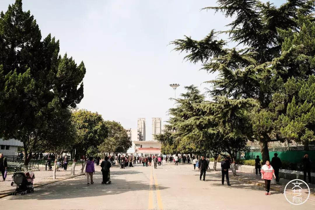 郑州火车头体育场老照片,郑州市火车头体育场