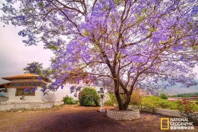 最幸福国家不丹,不丹最幸福的国家