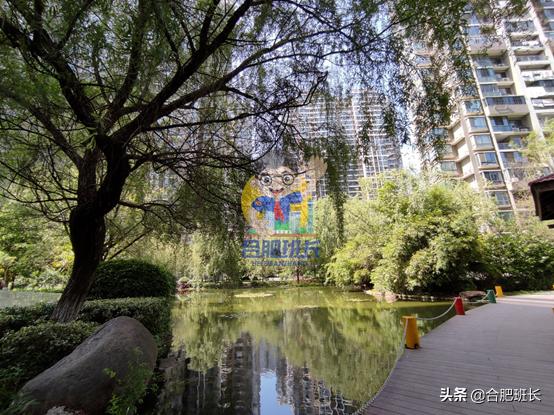 滨湖世纪城徽杰苑便宜,滨湖二手房急售哪家靠谱