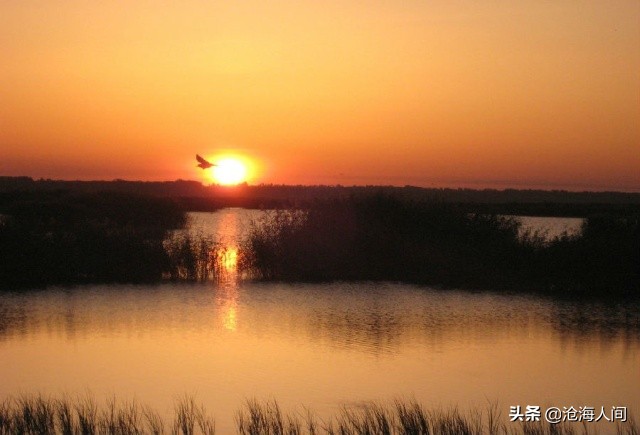 披头士歌曲大全100首,披头士乐队最经典歌曲