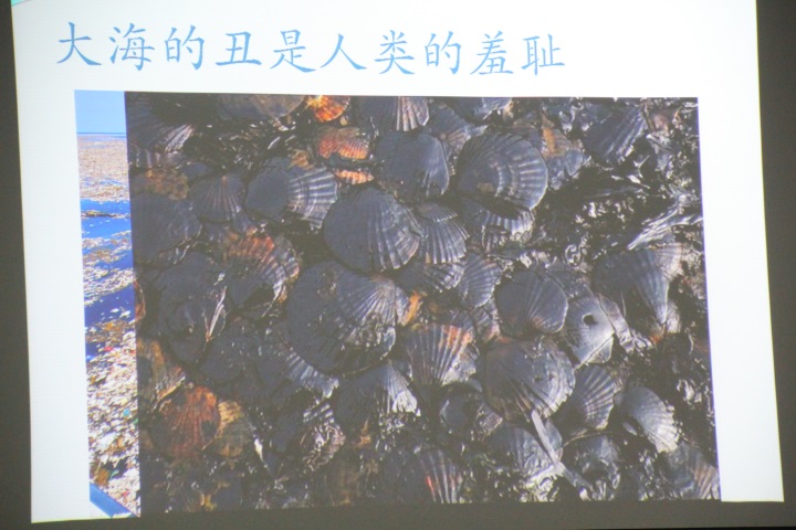 不一样的六一这样度过,不一样的六一努力就有收获