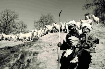 论语里的经典成语,论语中经常用到的成语