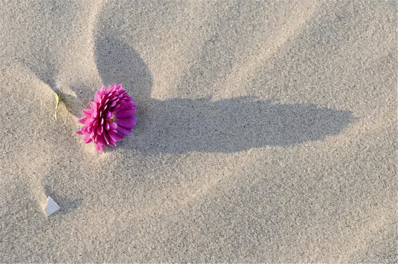 真正值得嫁的女人,真正值得你嫁的人