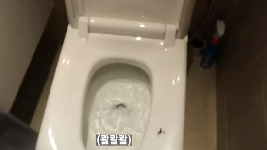 韩国美女晒独居公寓引11万人围观衣帽间全是名牌