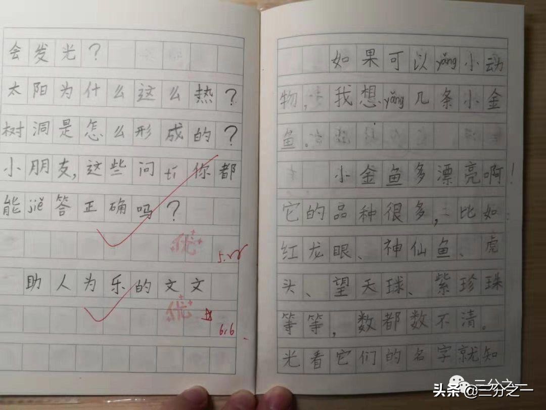 不亮也光：期末考试前一晚，我这样给孩子复习语文