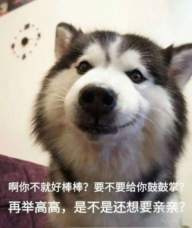 donttellme是哪首歌的歌词,donttellme前奏