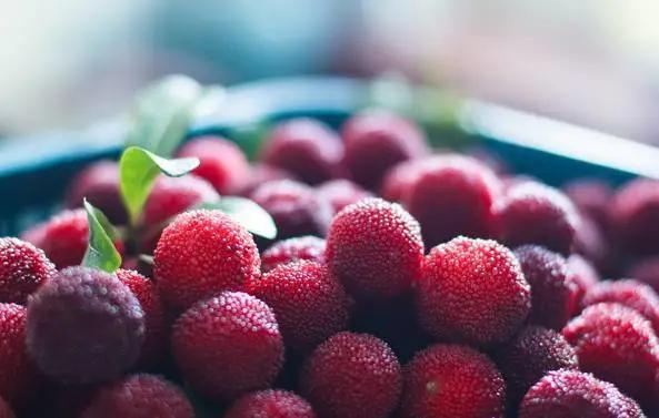 杨梅要怎么吃才会好吃,吃杨梅的季节到了酸甜可口