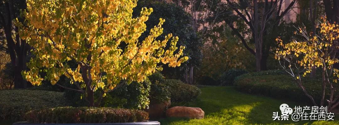 西安值得入手的大平层,意式重奢大平层西安