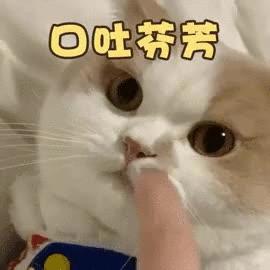 新西兰通鼻膏真的有用吗,鸭嘴兽鼻通膏怎么使用