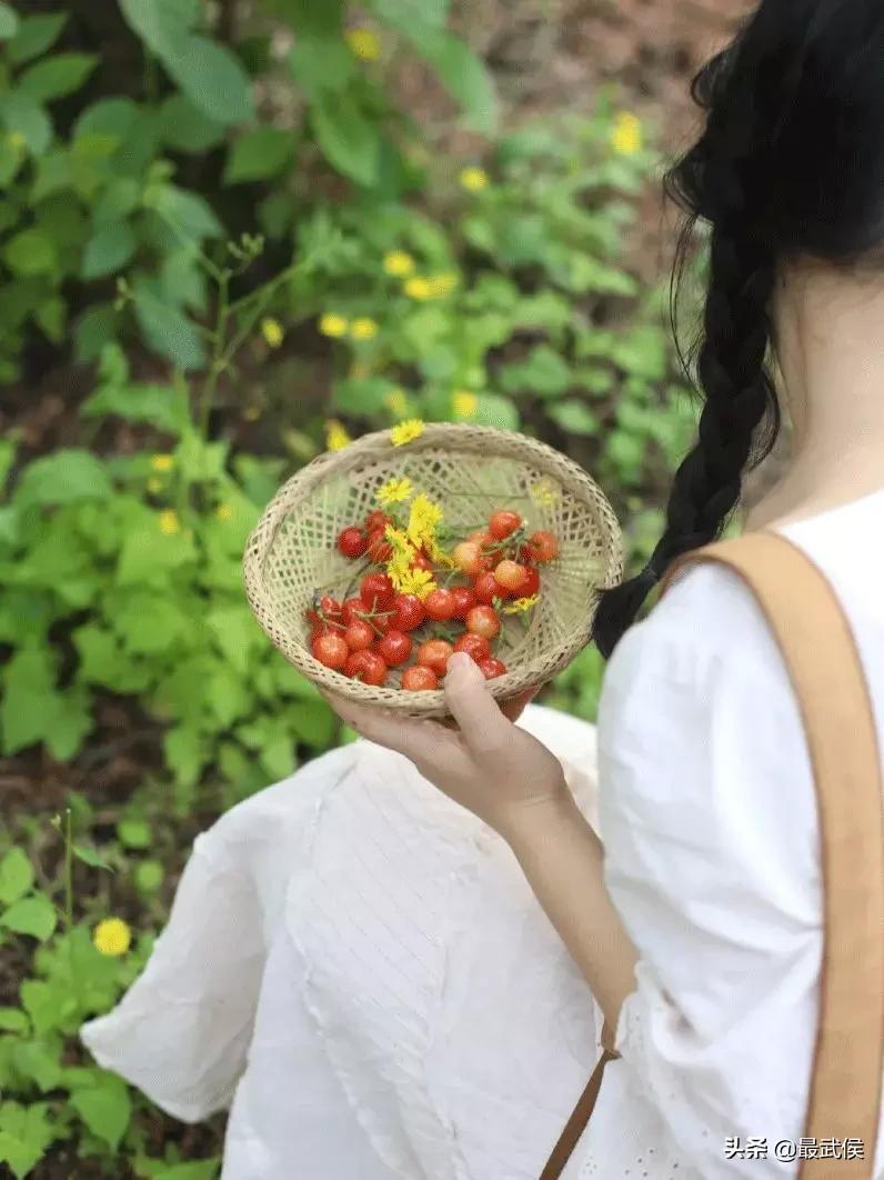 成都摘樱桃的地方不要门票,成都摘樱桃人少的地方