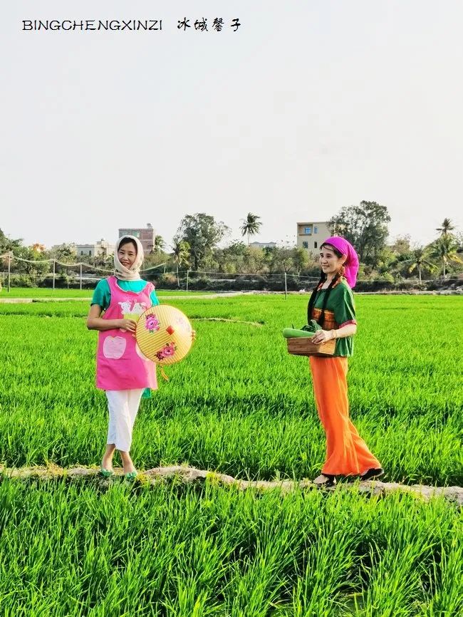 做把“村姑”,走进海南灯火灿烂的火龙果园