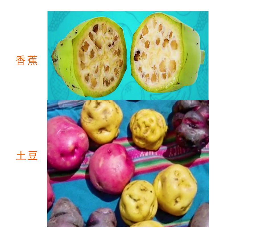 喝啥茶对肝脏排毒最快,科普肝脏是怎么排毒的