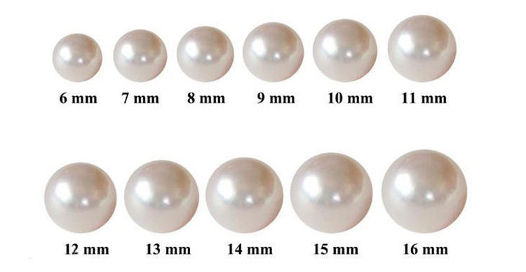 珍珠手链判断真假,野生无核可食珍珠怎么辨别真假