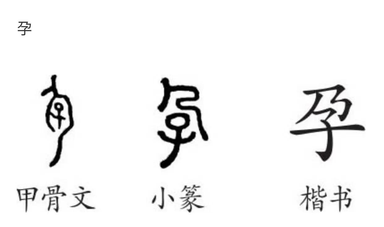 考古历史未解之谜甲骨文,考古十大存疑