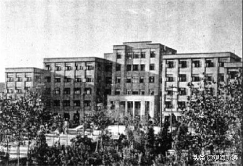 这次你们怎么办我都不管了——毛主席为合肥人民的一次破例