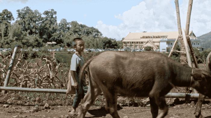 中国最后一个原始部落翁丁村,中国最后一个原始部落猎人