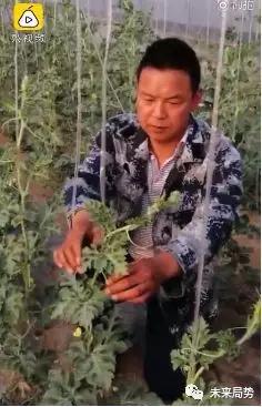 全球公认的5位最美明星,疫情后有哪些人值得记住