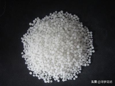 养幸福树用硬塑料盆可以吗,养幸福树需要湿度吗