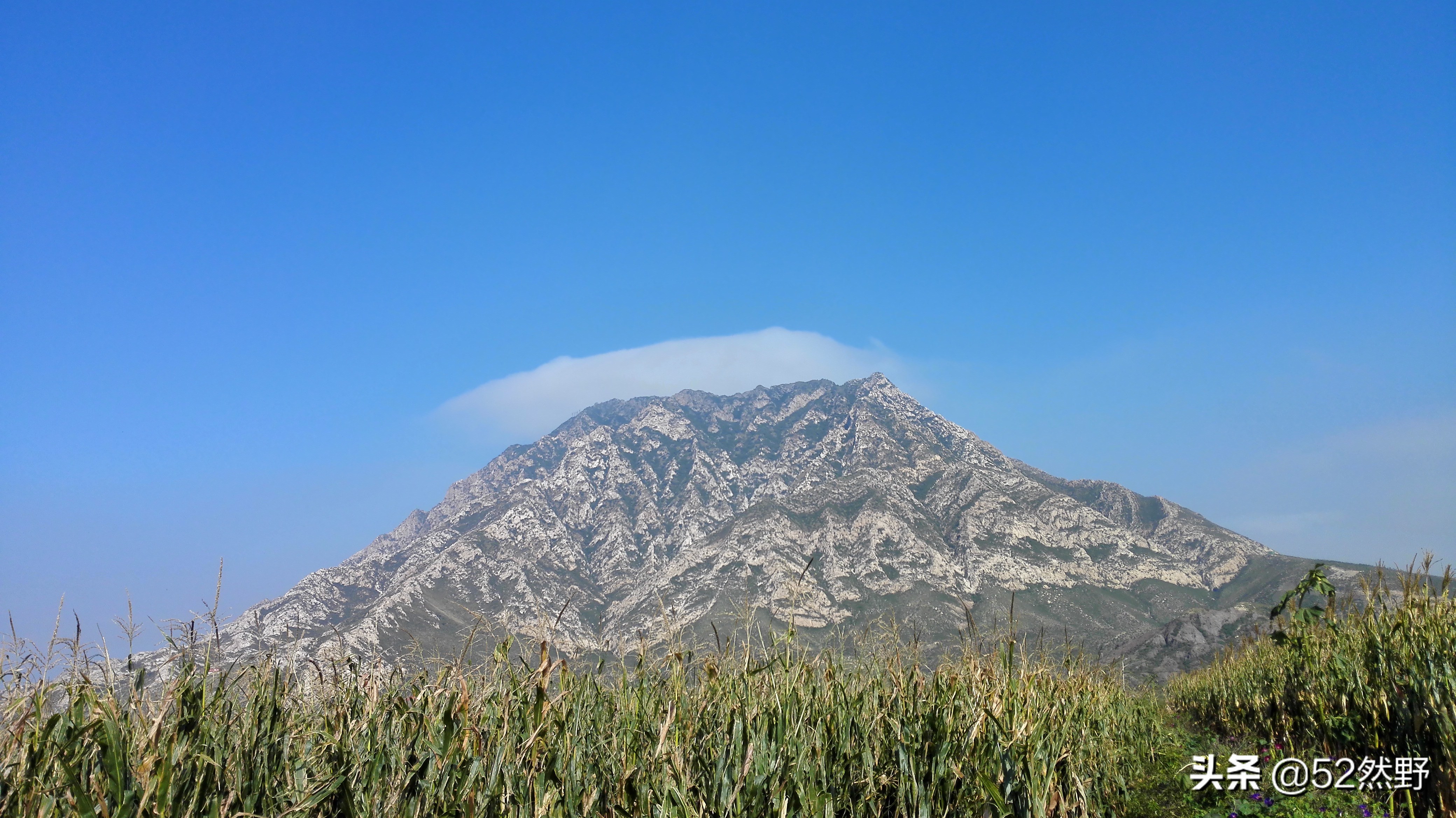 桑干河原唱完整版,桑干河诗句