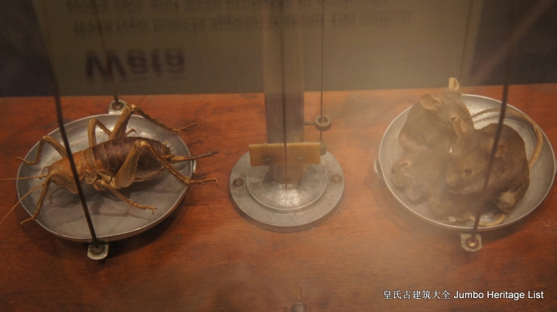 第61回：惠灵顿维多利亚山，蒂帕帕国家博物馆（上）