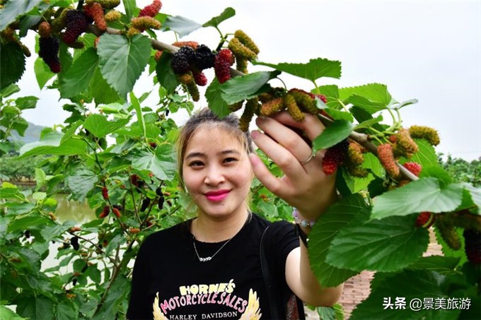 南海渔耕粤韵文化园,广东渔耕文化旅游园