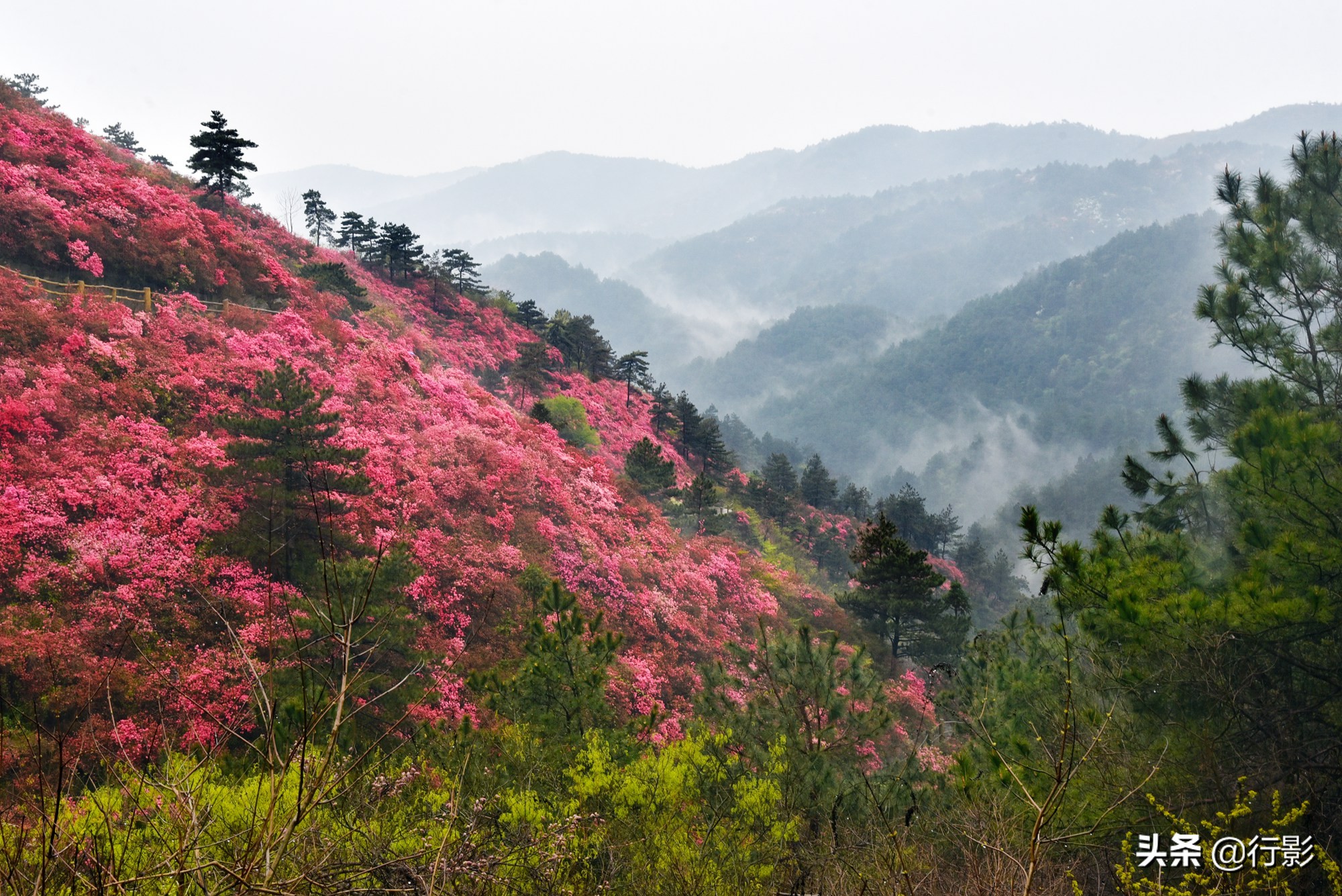 武汉云雾山风景区有什么好玩的,武汉云雾山游玩攻略