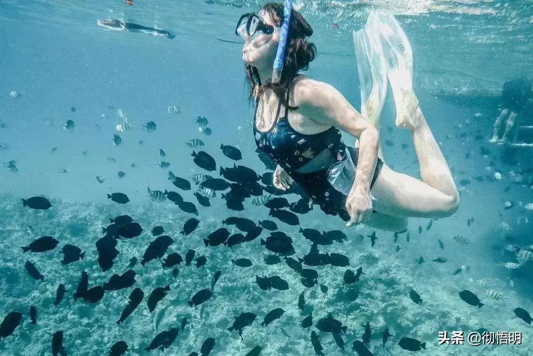 53天环游世界旅行,80天环游世界环游了哪几个国家