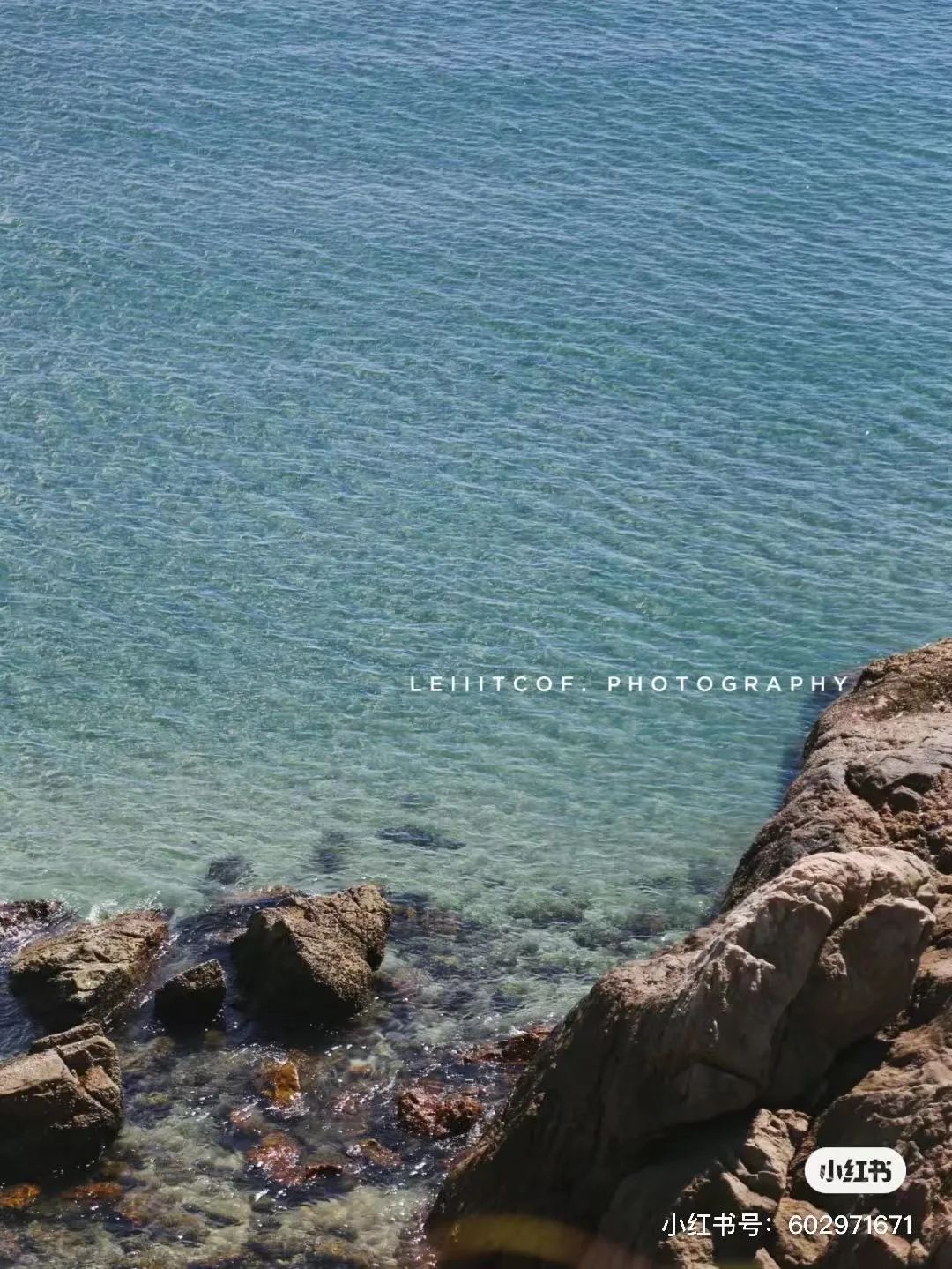 吴彦祖拍的劲爆电影,吴彦祖最新片