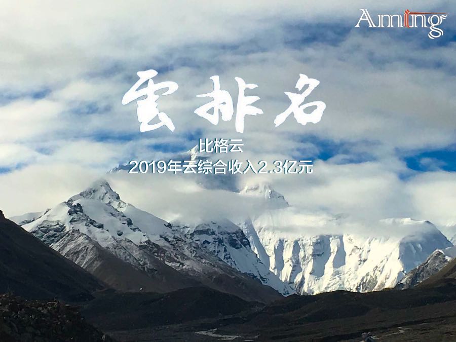 比格利润,比格云