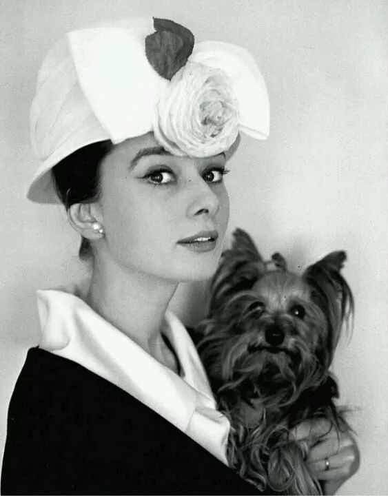 奥黛丽赫本:绝世容颜背后的秘密!