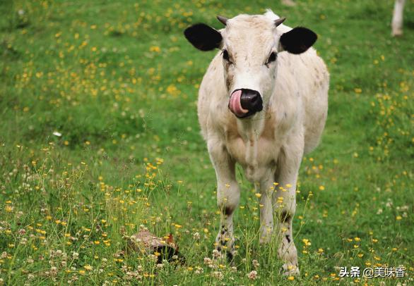 牛羊脱霉剂,牛羊用脱霉剂一个月用几次