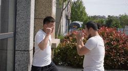 学武术基本功最佳方法,学武术要训练哪些动作视频