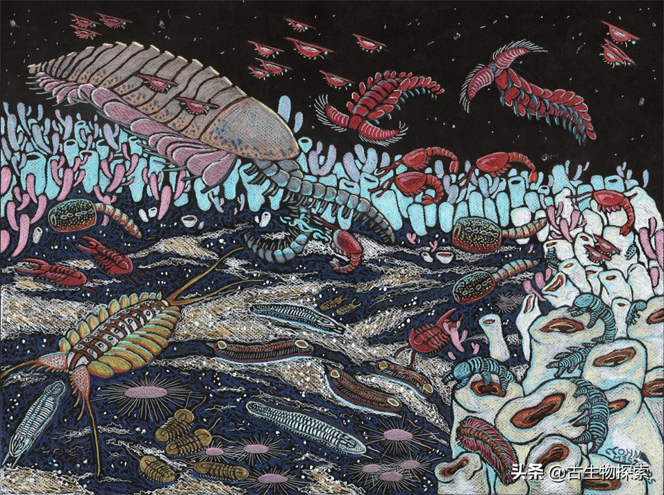 古生物学家发现新恐龙物种,1亿年前海洋中最大的捕食者