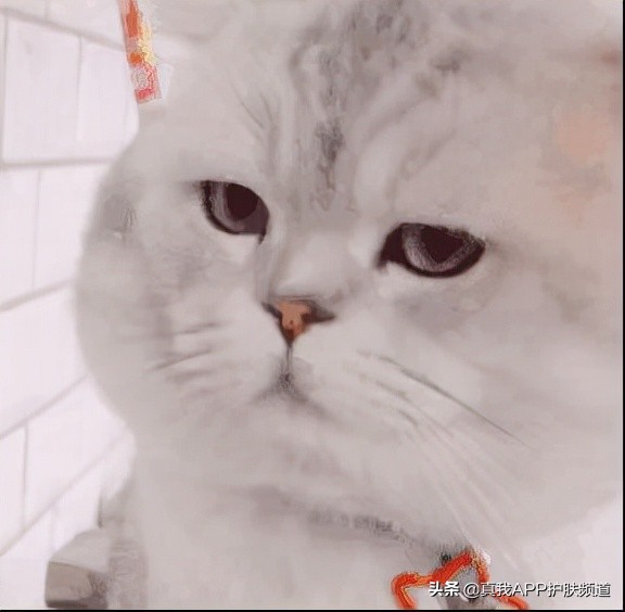 为什么痘痘消失后毛孔粗大了,长了痘痘怎么使它快速瘪下去